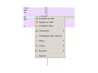 Capture-Windows.png