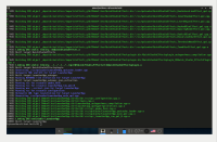 SDDM_Enlightenment_LauncherApp.gif
