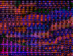 umbrellas.jpg_imc1_bt709_video_diff.png