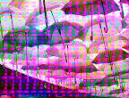 umbrellas.jpg_imc1_bt709_video_actual.png
