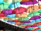 umbrellas.jpg_imc1_bt709_video.png