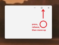 bug1.jpg