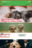 android_with_margins.png