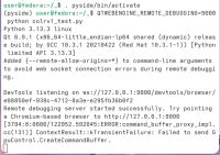 console-output.png