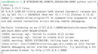 system-pyside-console-output.png