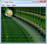 image_viewer_repaint.png
