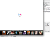 flickrview_withbanner.png