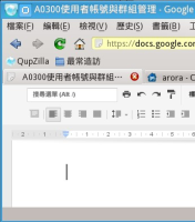 QtWebkit_issue_after_[Enter].jpg