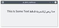 capitalization_arabic_text.png